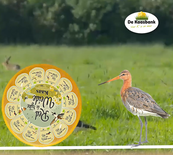 Red de Rijke Weide kaas