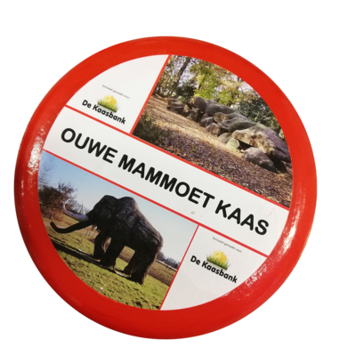 Ouwe Mammoet kaas