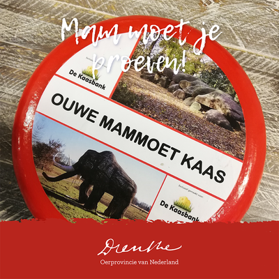 Ouwe Mammoet kaas