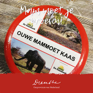 Ouwe Mammoet kaas